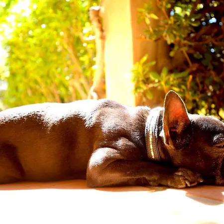 Royal Bon Repos Sainte-Maxime